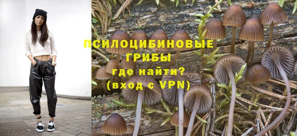 прущая мука Вязники
